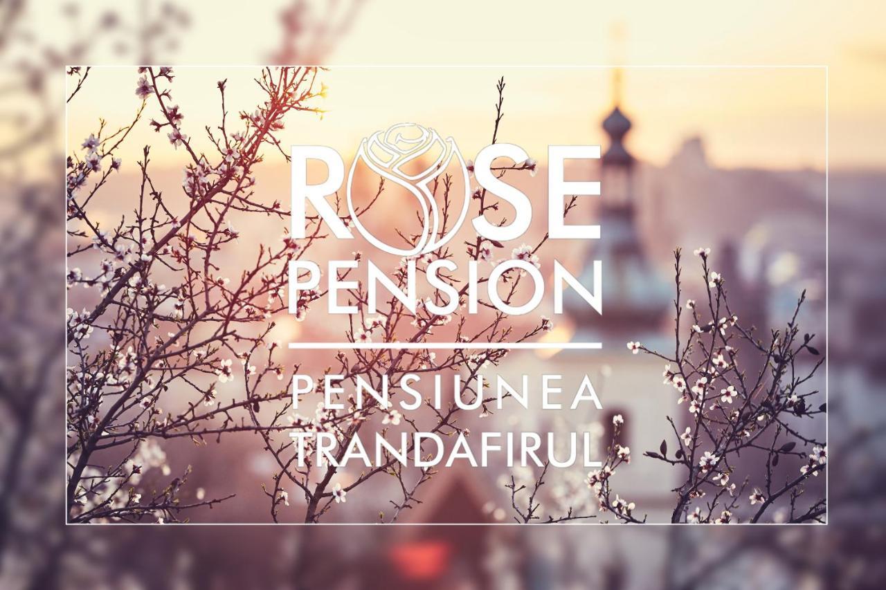 Pension Rose-Trandafirul Borsec Esterno foto
