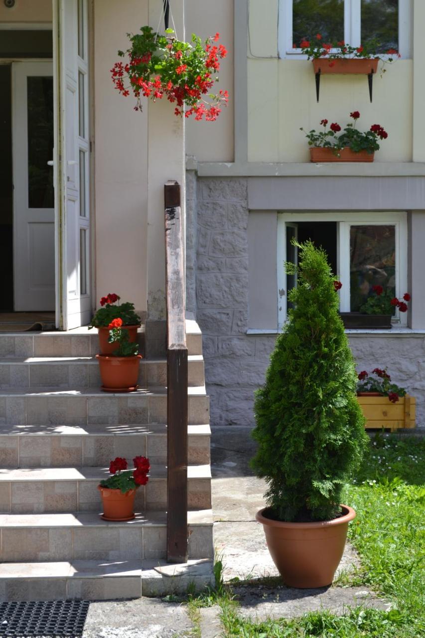 Pension Rose-Trandafirul Borsec Esterno foto