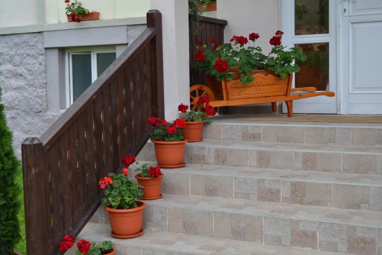 Pension Rose-Trandafirul Borsec Esterno foto